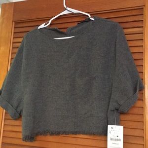 Zara Trafaluc Crop Top